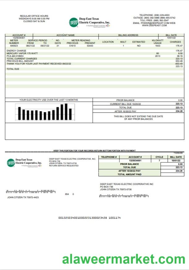 USA Deep East Texas Electric utility bill template in Word and PDF format